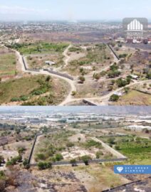 WhatsApp Image 2025-10-15 at 9.06.52 AM